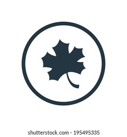 autumn leaf icon
