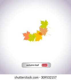 autumn leaf icon