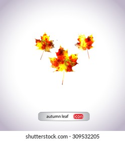 autumn leaf icon
