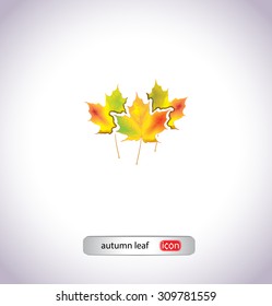 autumn leaf icon 