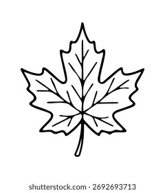 Herbstblatt Symbol Doodle handgezeichnet. Das Symbol für die Umrisslinie eines Cliparts. Vektorgrafik.