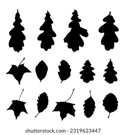 Autumn Leaf Icon Isolated, Black Autumn Tree Leaves Symbol, Simple Foliage Silhouette, Fall Leaf Contour on White Background, Vector Illustration
