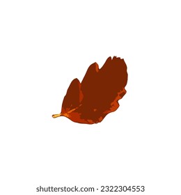 Autumn Leaf Icon Isolated, Colored Autumn Tree Leaves Symbol, Red Orange Foliage Silhouette, Fall Leaf Contour on White Background, Vector Illustration