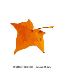 Icono de hoja de otoño aislado, símbolo de hojas de árbol de otoño de color, silueta de follaje naranja rojo, contorno de hojas de otoño sobre fondo blanco, ilustración de vector