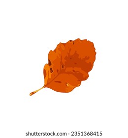 Autumn Leaf Icon Isolated, Colored Autumn Tree Leaves Symbol, Red Orange Foliage Silhouette, Fall Leaf Contour on White Background, Vector Illustration - Powered by Shutterstock - Get 15% off with code: PIKWIZARD15