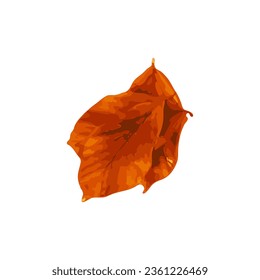 Autumn Leaf Icon Isolated, Colored Autumn Tree Leaves Symbol, Red Orange Foliage Silhouette, Fall Leaf Contour on White Background, Vector Illustration