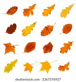 Icono de hoja de otoño aislado, símbolo de hojas de árbol de otoño de color, silueta de follaje naranja rojo, contorno de hojas de otoño sobre fondo blanco, ilustración de vector