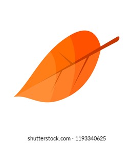 Autumn leaf icon. Isometric of autumn leaf vector icon for web design isolated on white background