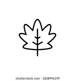 autumn leaf icon. nature icon design. perfect for logo, presentation, book, application, background and more product. icon design line style
