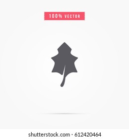 autumn leaf icon on white background