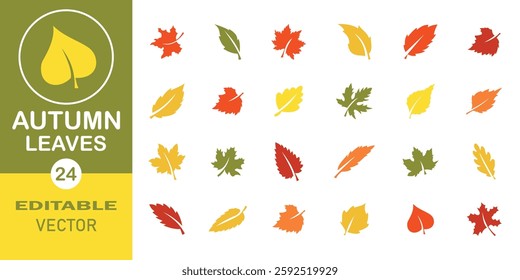 Autumn leaf icon set. Autumn Leaves colorful silhouette symbol icon website logo design. Set of 24 leaves vector icon isolated on white background. Vector illustration. EPS 10	