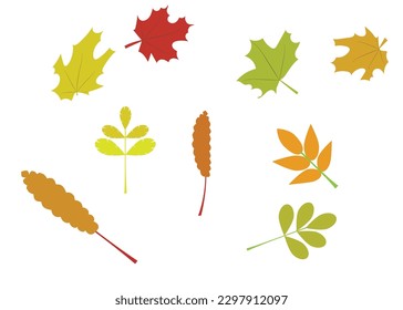 autumn leaf icon set vector and illustration 