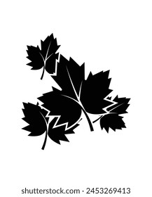 autumn leaf icon, vector best flat icon.