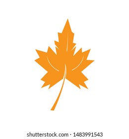 autumn leaf icon vector design template