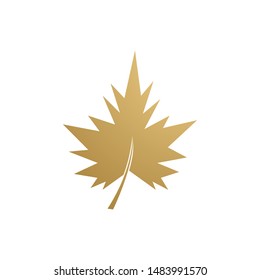 autumn leaf icon vector design template