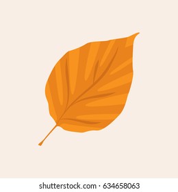 Autumn leaf icon vector illustration