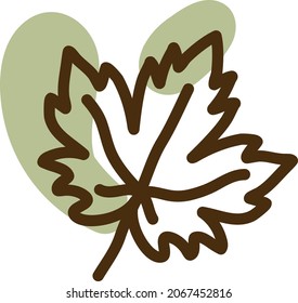 Hoja de otoño, ilustración, vector, sobre fondo blanco.