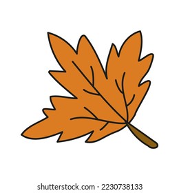 Autumn leaf isolated in abstract style on colorful background. Autumn yellow leaf closeup. Plant leaf closeup. Colorful maple leaves. Autumn forest.