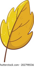 autumn leaf isolated fall decoration
