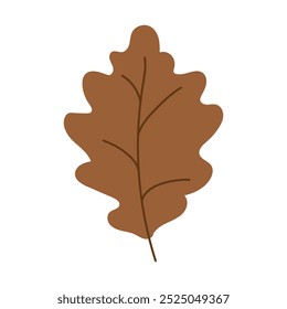Herbstblatt einzeln. Herbsteiche Teil. Dekorative botanische handgezeichnete Clipart