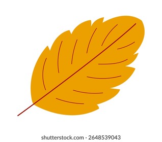 Autumn leaf isolated on transparent background. Element for season design.