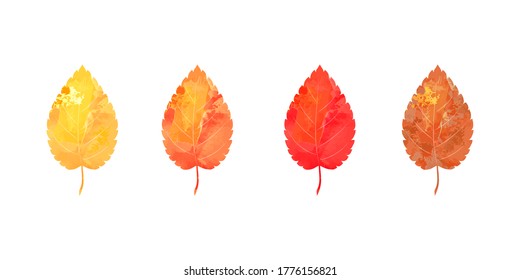 Hoja de otoño aislada en blanco	