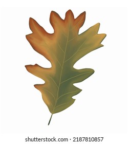 Autumn leaf isolated on white background. Leaf with watercolor texture, vector illustration.