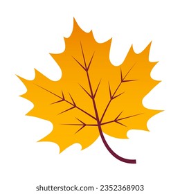 Autumn leaf isolated on white