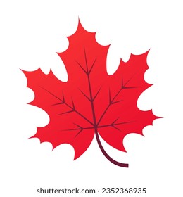 Autumn leaf isolated on white