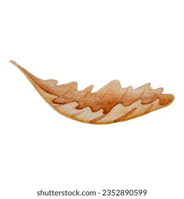 Autumn leaf up isolated on white background, leaves with watercolor texture, vector illustration, suitable for social media, promotional materials, ads, cards