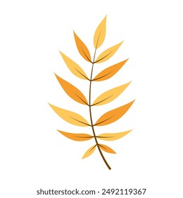 autumn leaf isolated on white background