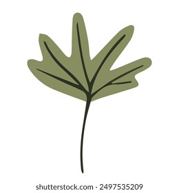 Hoja de otoño aislada sobre fondo blanco. Estilo plano de dibujos animados simple, Ilustración vectorial.