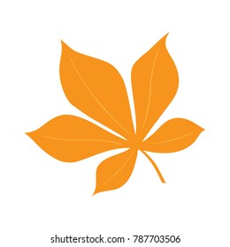 Autumn leaf isolated over a white background. Flat design, vector.
