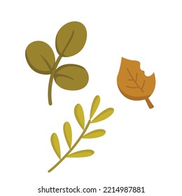 Autumn Leaf Leaves Illustration Vector Clipart