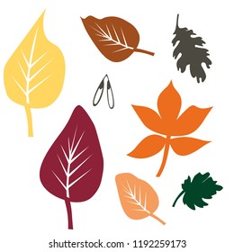 autumn leaf leaves set kit design element isolated on white vector template foliage collection