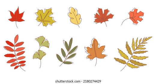 autumn leaf line element for decoration,card,presentation,printing,advertising,poster,ornament,elements,background,etc.