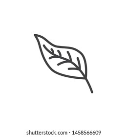 Autumn leaf line icon. linear style sign for mobile concept and web design. Tree leaf outline vector icon. Symbol, logo illustration. Vector graphics