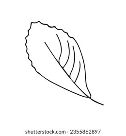 autumn leaf line sketch. Maple Leaf. nature. coloring. vector illustration.