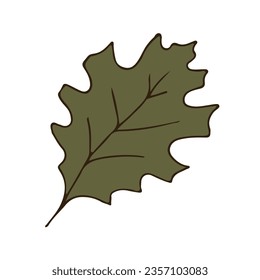 autumn leaf line sketch. Leaf. nature. coloring. vector illustration.