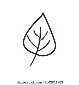 Autumn leaf line style icon design, season nature ornament garden decoration and botany theme Vector illustration