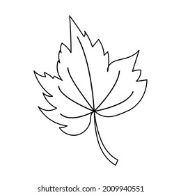 Herbstblatt im linearen Stil organischer Naturbaumblätter. Einziger Umriss Zeichnung moderner minimalistischer Konturgrafik einzeln auf Weiß.