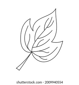 Autumn leaf in a linear style organic natural tree leaf. Isolated outline drawing modern minimalistic outline illustration isolated on white.