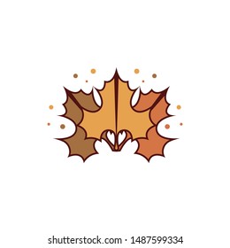 Autumn leaf  Logo and symbol 