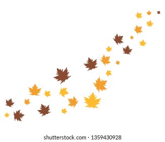 autumn leaf logo vector icon