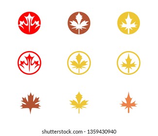 autumn leaf logo vector icon