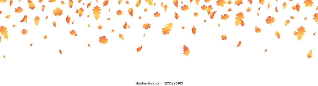 Autumn leaf long banner. Fall maple background. October foliage frame. Oak decor september poster. Orange plant flying. Thanksgiving day card. Harvest party invitation. Vector illustration.