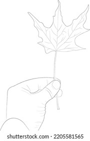 autumn leaf man hold line art hand drawing 