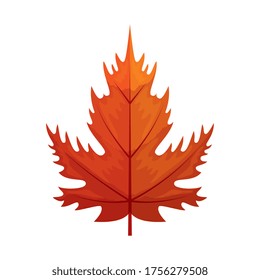 mazón de hojas de otoño o follaje otoño sobre el diseño de ilustraciones vectoriales de fondo blanco