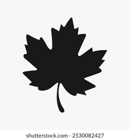 autumn leaf, Maple leaf icon isolated  on white background.