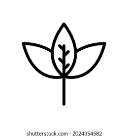 autumn leaf maple icon vector
